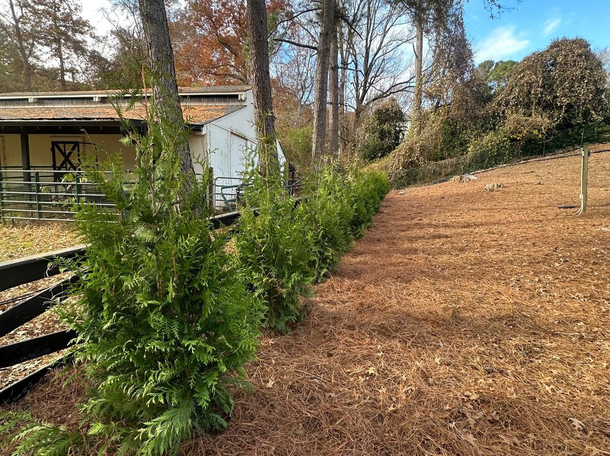 AQ Landscape Group LLC